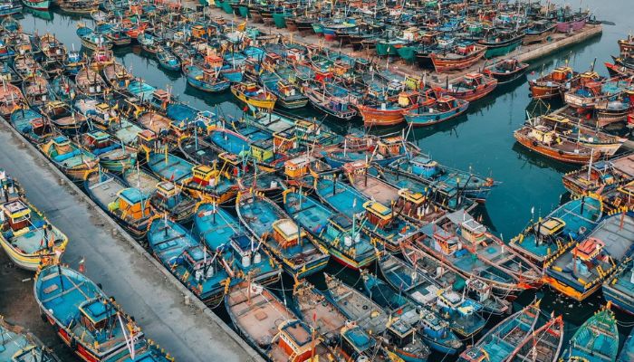 Cảng PINGXIANG ở đâu? Bao lâu hàng về Việt Nam